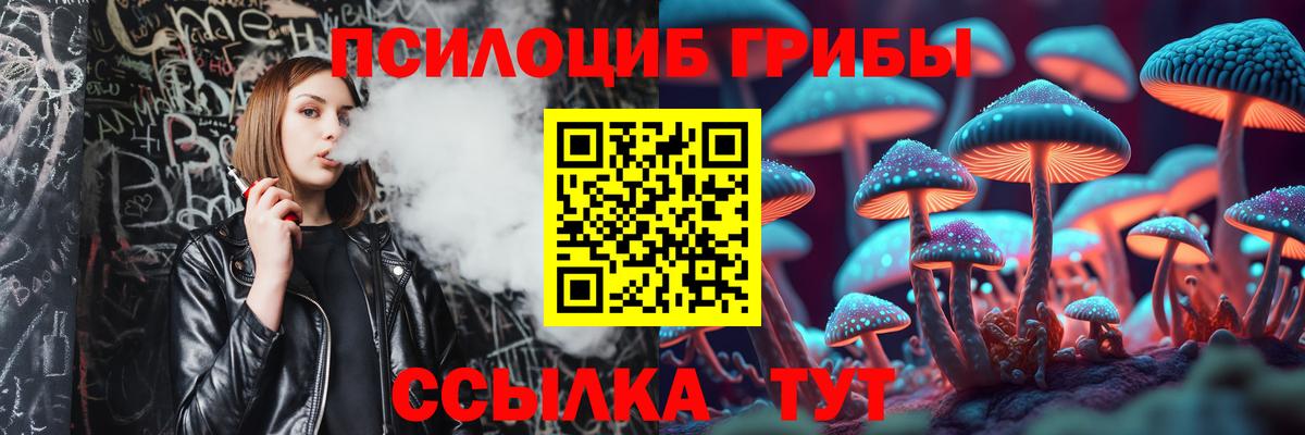 Псилоцибиновые грибы MAGIC MUSHROOMS  Вход с VPN  где купить наркоту  Ярославль 