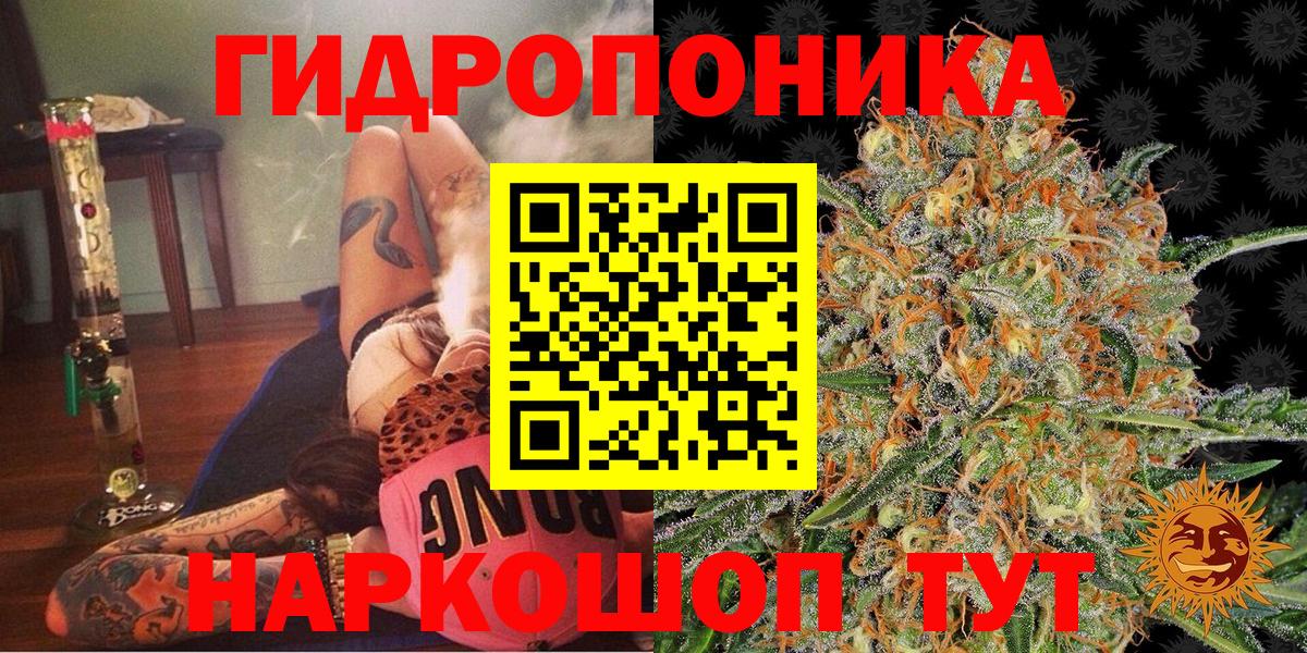 Конопля конопля Ярославль